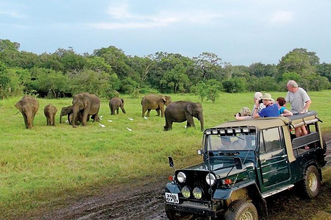 Minneriya National Park